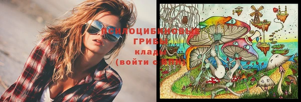 дурь Балахна