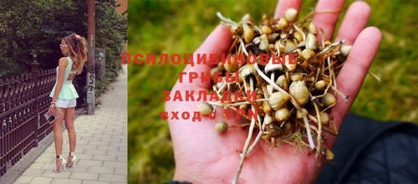 молекула духа Баксан