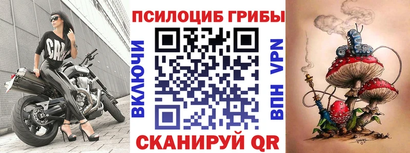 Псилоцибиновые грибы Psilocybe  сколько стоит  Богучар 